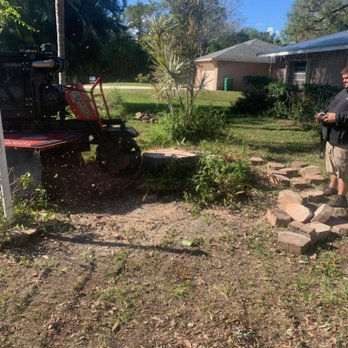 Anthonys Tree Company  - #stump #grinding - Tree Services Near Me - Fort Pierce, Florida