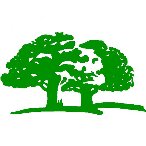 All Pro Tree Care - tree service in Auburn, WA