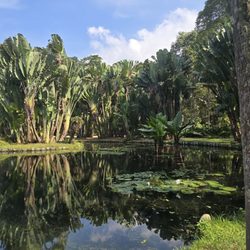 Johrei Center Jardim Botânico