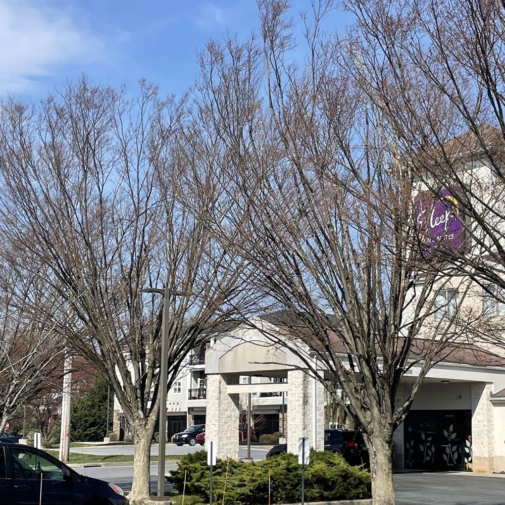 Best Hotels near Conestoga House and Gardens in Lancaster, PA - Yelp