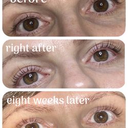The Skin Firm - Lash lift and tint can last up to eight weeks