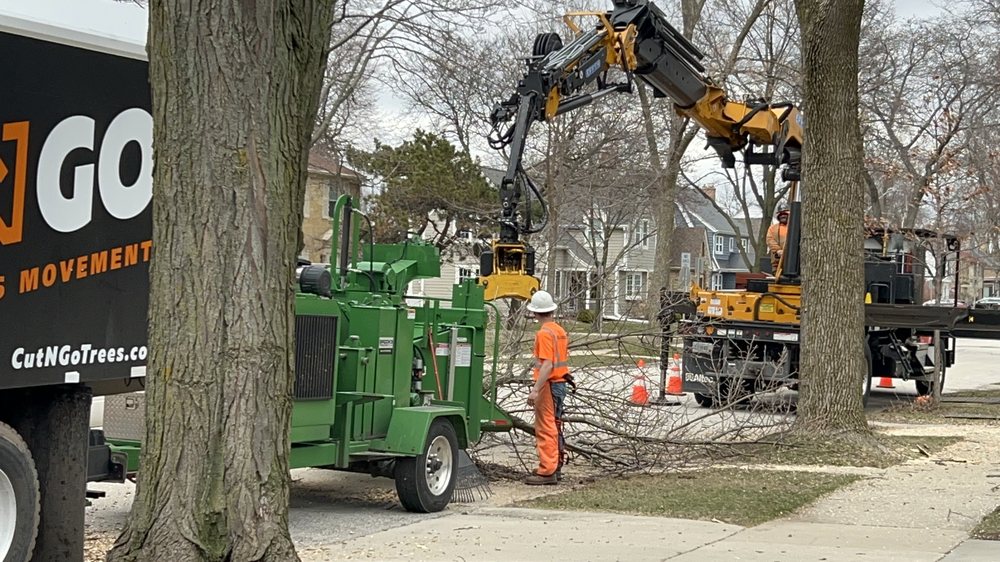 Cut N Go - tree service in Hartland, WI