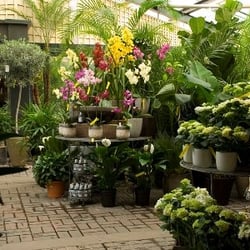The Chelsea Gardener - Www.chelseagardener.com