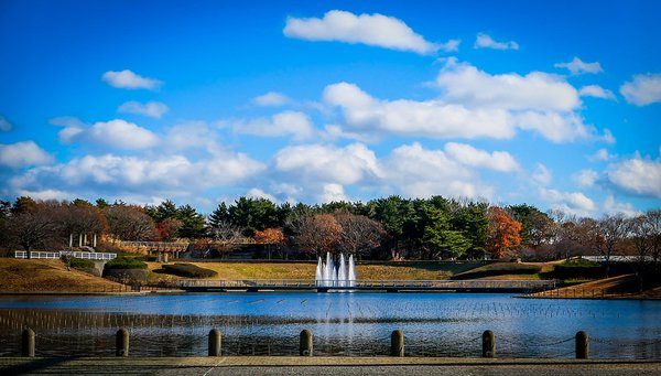 Hitachi Seaside Park by null
