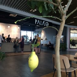 Palæo