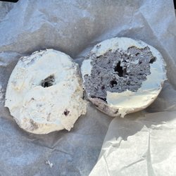 Latham Bakery - Blueberry bagel