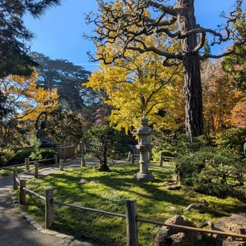 Japanese Tea Garden - Tea garden in winter - Tea Rooms Near Me - San Francisco, California