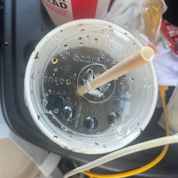 KFC - Bugs around the edge of the lid. - Fast Food Near Me - Lihue, Hawaii