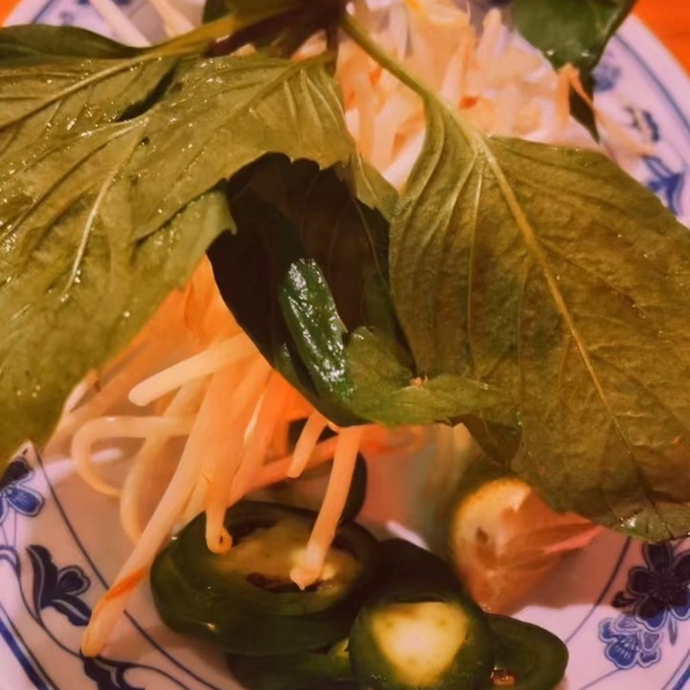 Vn Noodle House - Vietnamese Near Me - Gambrills, Maryland Vn Noodle House - Vietnamese Near Me - Gambrills, Maryland