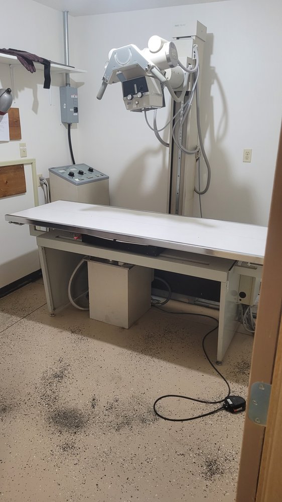 VETERINARY ASSOCIATES OF MANNING Updated September 2024 31 Photos