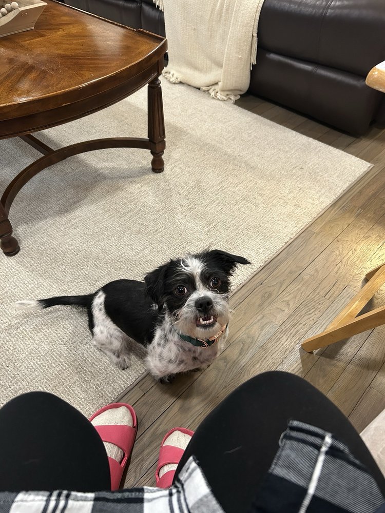 Lolly's Home Care - home care agency in Cumberland, RI