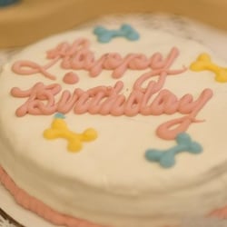 Uptown Dog Cape Cod - Dog Birthday Cake courtsey of the web site