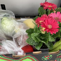 Troy Produce Patch - Today's purchase.