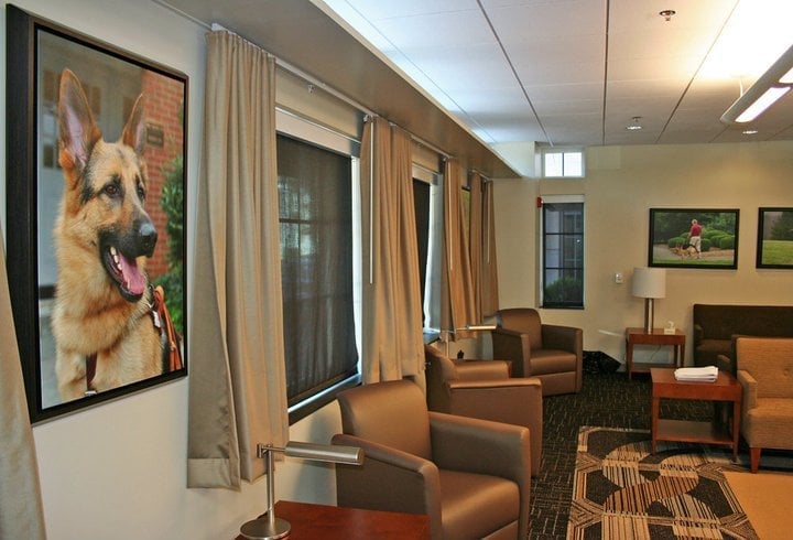 The Seeing Eye - social services organization in Morristown, NJ