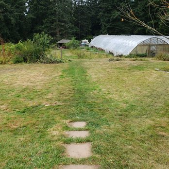 Nettles Farm - View of some of the farm and greenhouse - Bed & Breakfast Near Me - Lummi Island, Washington
