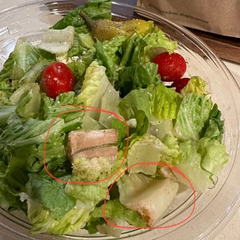 Panera Bread - Circles show rotten lettuce. Who serves rotten food? Panera does! - Sandwiches Near Me - Loveland, Colorado Panera Bread - Circles show rotten lettuce. Who serves rotten food? Panera does! - Sandwiches Near Me - Loveland, Colorado