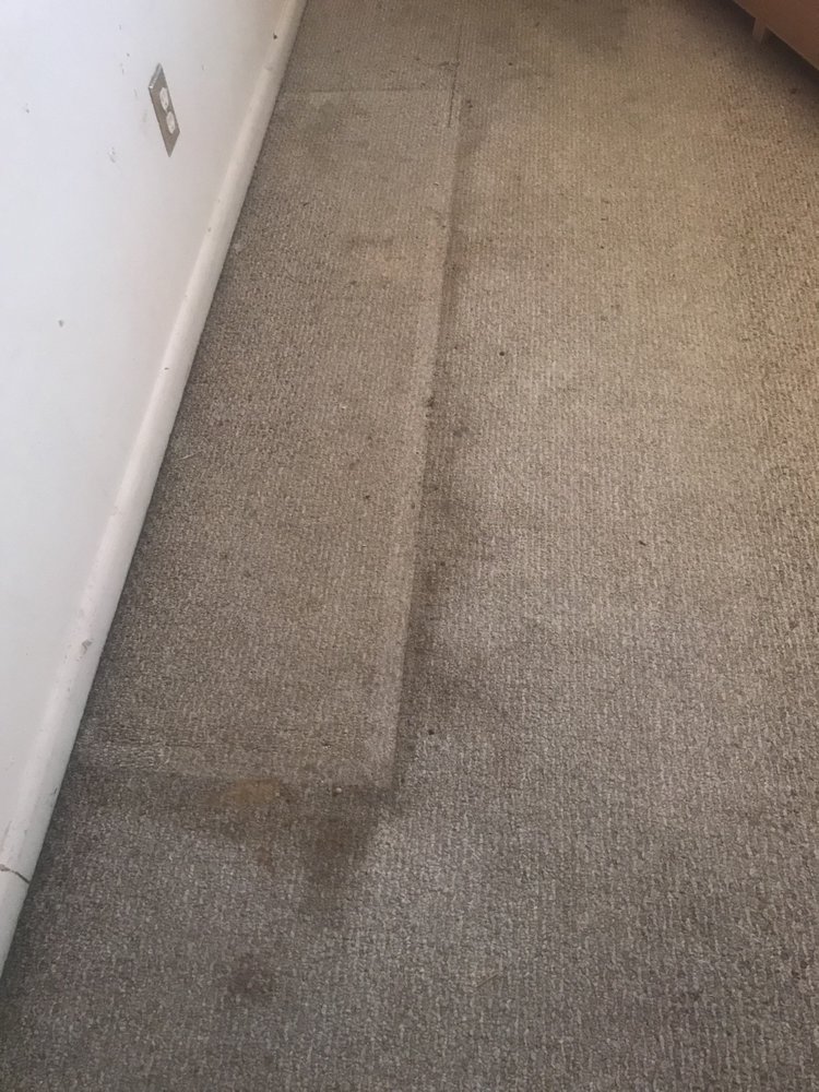 910 CARPET & UPHOLSTERY CLEANING Updated August 2024 21 Photos