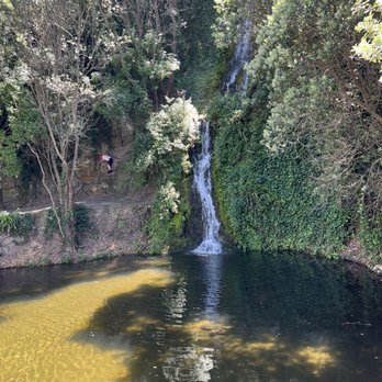 Centennial Gardens - Botanical Gardens Near Me - Napier, HKB