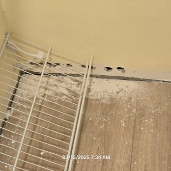 Handy Dan - SHODDY WORK! YOU WILL REGRET HIRING HIM. THIS WAS A NEW FLOORING INSTALLED B4 HE PUT THOSE HOLES IN THE WALL FOR NO REASON. - Painters Near Me Handy Dan - SHODDY WORK! YOU WILL REGRET HIRING HIM. THIS WAS A NEW FLOORING INSTALLED B4 HE PUT THOSE HOLES IN THE WALL FOR NO REASON. - Painters Near Me