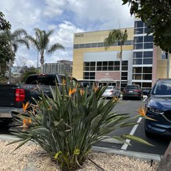 Veterinary Specialty Hospital - Sorrento Valley - View from parking lot