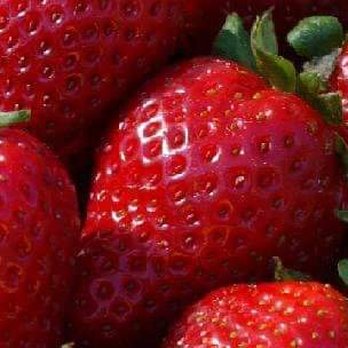 The Peach Basket - a close up of a bunch of strawberries - Fruits & Veggies Near Me - Spartanburg, South Carolina The Peach Basket - a close up of a bunch of strawberries - Fruits & Veggies Near Me - Spartanburg, South Carolina