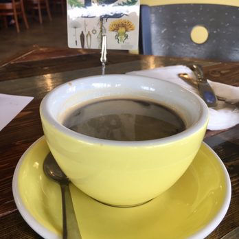 Dandelion Cafe - Coffee & Tea Near Me - Bellaire, Texas