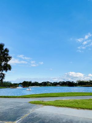 City Park Topiary by null