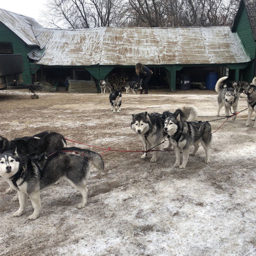 Silent Run Adventures - Pet Services Near Me - Monticello, Minnesota Silent Run Adventures - Pet Services Near Me - Monticello, Minnesota