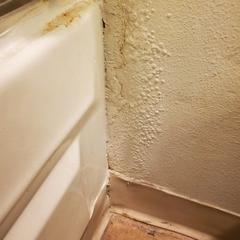 TARZANA SPRINGS - Updated January 2026 - 40 Photos & 32 Reviews