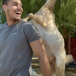 Aimee's Farm Animal Sanctuary