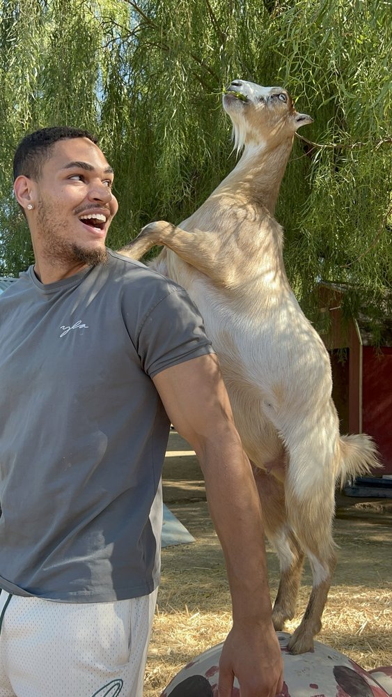Aimee's Farm Animal Sanctuary - social services organization in Queen Creek, AZ