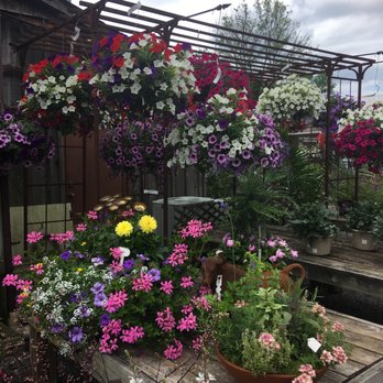 The Living Earth - Georgeous - Nurseries & Gardening Near Me - New Hope, Pennsylvania The Living Earth - Georgeous - Nurseries & Gardening Near Me - New Hope, Pennsylvania