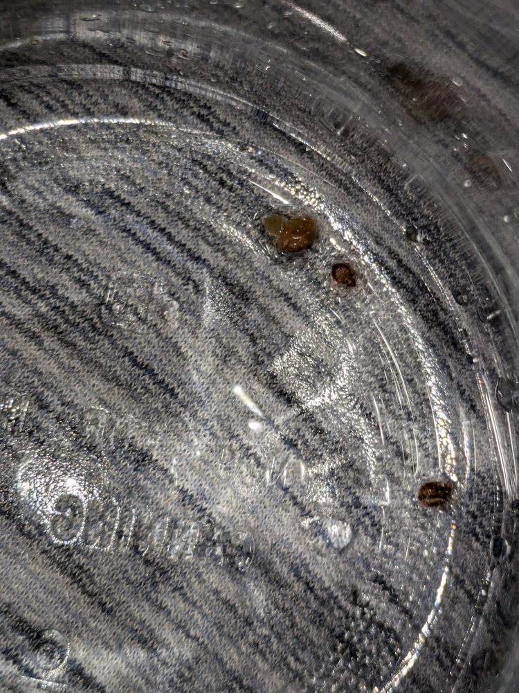 Valley Rescue Mission Inc - social services organization in Columbus, GA