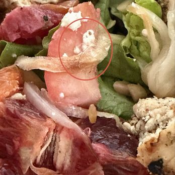 Tender Greens - Pretty disappointed... gifted a take away salad for lunch today. Upon opening the salad there's a hair in it. - New American Near Me - San Francisco, California Tender Greens - Pretty disappointed... gifted a take away salad for lunch today. Upon opening the salad there's a hair in it. - New American Near Me - San Francisco, California