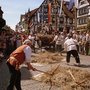 Photo of Peter-und-Paul-Fest