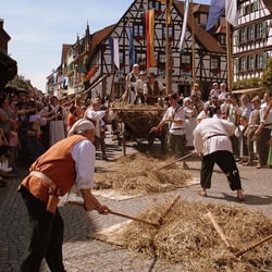 Peter-und-Paul-Fest - Die Landsknechte am Marktplatz von Bretten