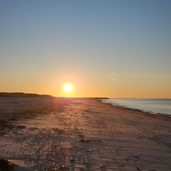 Seagull Beach - Sunrise