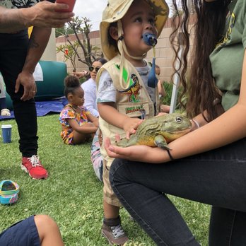 Paramount Reptile Shows - Arts & Entertainment Near Me - Paramount, California Paramount Reptile Shows - Arts & Entertainment Near Me - Paramount, California
