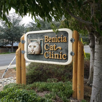 Benicia Cat Clinic - Veterinarians Near Me - Benicia, California