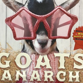 Tractor Supply - Goats of anarchy book for sale at the Marksville location Tractor Supply. Must have - goat sunglasses. - Farming Equipment Near Me - Opelousas, Louisiana Tractor Supply - Goats of anarchy book for sale at the Marksville location Tractor Supply. Must have - goat sunglasses. - Farming Equipment Near Me - Opelousas, Louisiana