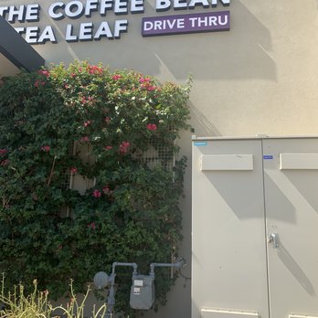 The Coffee Bean & Tea Leaf - Coffee & Tea Near Me - Scottsdale, Arizona