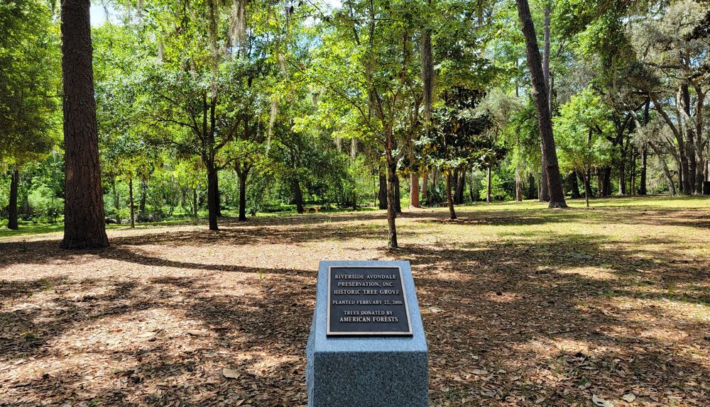 Boone Park Image