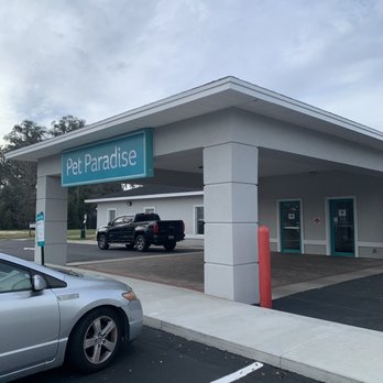 Pet Paradise Gainesville - Pet Groomers Near Me - Newberry, Florida Pet Paradise Gainesville - Pet Groomers Near Me - Newberry, Florida