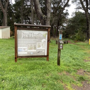 Jug Handle State Natural Reserve - Trailhead - Parks Near Me - Fort Bragg, California