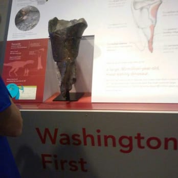 Burke Museum - Museums Near Me - Seattle, Washington