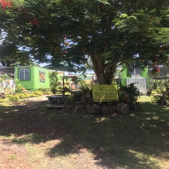 D's Garden - Fruits & Veggies Near Me - Culebra, Puerto Rico D's Garden - Fruits & Veggies Near Me - Culebra, Puerto Rico