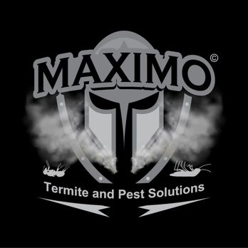 Maximo Termite and Pest Solutions - Pest Control Near Me - Houston, Texas