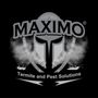 Photo of Maximo Termite and Pest Solutions
