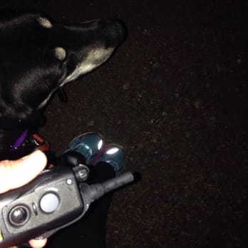 Primal Needs Behavioral Solutions - First run as a good dog! - Pet Training Near Me Primal Needs Behavioral Solutions - First run as a good dog! - Pet Training Near Me