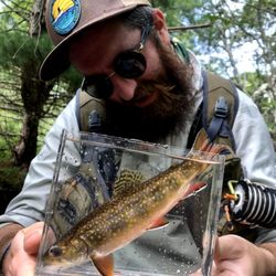 Brackish Flies - Yours truly admiring a beauty of a brookie caught from a central MA small stream!